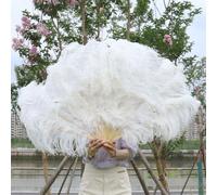 Grand Éventail En Plumes D'autruche,Décoration De Carnaval,Ixde Mariage,Spectacle De Brevdu Ventre,Lumière Bleu 13 Sophia - Type White-130cm Right