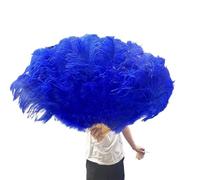 Grand éventail pliable en plumes d'autruche - 13 os - Pour fête de mariage, spectacle - Couleur H, main droite - 100 cm