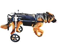 Grand fauteuil roulant pour chien de compagnie, chariot de rééducation des pattes arrière pour animaux de compagnie en acier inoxydable à 2 roues pour les pattes arrière, aide les petits ani