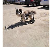Grand fauteuil roulant pour pattes arrière/membres antérieurs, poussette pour animal de compagnie à soutien complet réglable, chariot pour chien, rééducation des pattes avant/arrière pour handicap