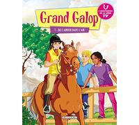 Grand Galop T07: De l'amour dans l'air