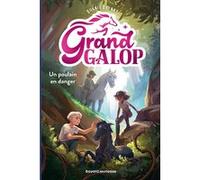 Grand Galop, Tome 07 Bonnie Bryant (Auteur), Yannick Surcouf (Traduction), Servane Altermatt (Illustration)