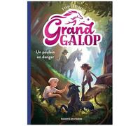 Grand Galop - Tome 7 - Un Poulain En Danger