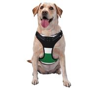 Grand gilet de traction imprimé drapeau de l'État de Palestine pour animaux de compagnie à porter lors de la promenade du chien ou de l'escalade des montagnes