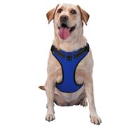 Grand gilet de traction imprimé drapeau de l'État du Nevada - Idéal pour promener le chien, randonnée, voyage quotidien