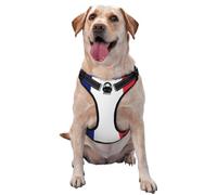 Grand gilet de traction imprimé drapeau français pour animaux de compagnie à porter lors de la promenade du chien ou de l'escalade des montagnes