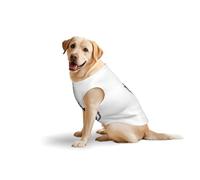 Grand gilet pour animaux de compagnie imprimé drapeau de l'État du Massachusetts - Respirant - Léger - Doux et confortable - Sans manches