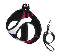 Grand harnais pour animal de compagnie - Petite taille, imprimé drapeau de l'État de l'Ohio réglable pour chats et chiens, parfait pour la promenade en plein air