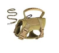 Grand Harnais pour Chat - Harnais réglable Anti-évasion avec poignée, Design Confortable et Respirant | pour Petite, Moyenne et Grande Race, Jeu, entraînement, Voyage, Marche, Camping, Pique-ni