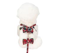 Grand Harnais pour Chien sans Traction, Conception pour Petits Chiens, Marche Facile avec Laisse, Harnais réglable pour Sortie pour Chiot