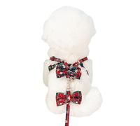 Grand Harnais pour Chien sans Traction, Conception pour Petits Chiens, Marche Facile avec Laisse, Harnais réglable pour Sortie pour Chiot