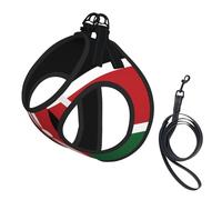 Grand harnais pour chien - Taille S - Imprimé drapeau du Kenya - Réglable pour chats et chiens - Parfait pour la promenade en plein air