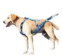 Grand harnais réfléchissant multifonction pour chien, corde de dressage flexible pour chien pour traîneau, promenade en plein air