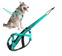 Grand harnais réfléchissant pour chien - Équipement de traction de résistance durable, rembourrage en respirante, anneau en D, bouclier de fitness réglable, outil d'exercice en plein air | pour