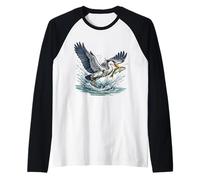 Grand héron pêchant des Poissons Zones humides Faune Manche Raglan