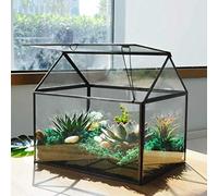 Grand kit Terrarium en Verre avec lèvre - Serre Noire pour Plantes Grasses