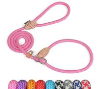 Grand Line Laisse Lasso pour Chien 150 cm Coulissante de Dressage avec Frein, Réfléchissant Etrangleur pour Chiot, Petits, Moyens, Grands Chien (10mm, Rose)