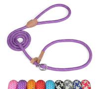 Grand Line Laisse Lasso pour Chien 150 cm, Coulissante de Dressage avec Frein, Réfléchissant Etrangleur pour Chiot, Petits, Moyens, Grands Chiens (6mm, Violet)