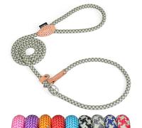 Grand Line Laisse Lasso pour Chien, 150 cm Laisse Coulissante de Dressage avec Frein, Réfléchissant Laisse Etrangleur pour Chiot, Petits, Moyens, Grands Chien (10mm, Gris Vert)