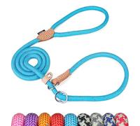 Grand Line Lasso pour Chien, 150 cm Laisse Coulissante de Dressage avec Frein, Réfléchissant Laisse Etrangleur pour Chiot, Petits, Moyens, Grands Chien (14mm, Bleu)