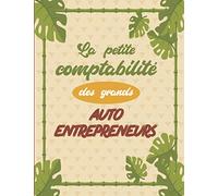 Grand Livre Journal Achats-Recettes | Conforme Obligations Légales pour la Comptabilité Auto-entrepreneur (Micro-Entreprise): Maxi Tableaux | Hautes ... Comptables |+ de 1200 Entrées | 130 pages