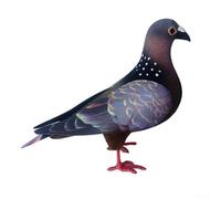 Grand modèle de pigeon en mousse décoratif pour l'intérieur pour la maison et le jardin, design réaliste fait à la main avec corps en mousse et ailes en carton (D)
