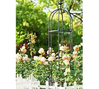 Grand obélisque de jardin pour plantes grimpantes, cadre d'escalade robuste et résistant aux intempéries pour vignes et rosiers, motif de dessus d'oiseau décoratif