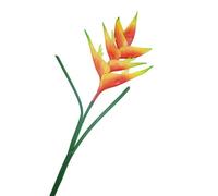 Grand oiseau de paradis,86 cm,Fleurs artificielles en héliconia,1 tige,7 pétales,Fleurs artificielles permanentes,Pour intérieur et extérieur,Pour maison, bureau, décoration de mariage (orange)