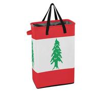 Grand panier à linge avec poignées - Paniers à linge imperméables pour garçons et filles - Pour chambre à coucher - Drapeau du Liban
