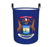 Grand panier à linge imprimé drapeau de l'État du Michigan, panier pour couverture, jouets, vêtements sales dans le salon, la salle de bain, la chambre à coucher