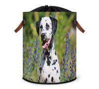 Grand panier à linge pliable pour chien dalmatien avec couvercle à cordon de serrage pour chambre à coucher, salle de bain