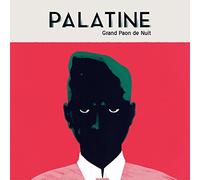 Grand Paon de Nuit