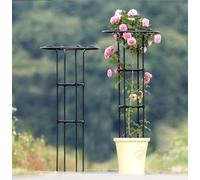 Grand parapluie obélisque pour jardin - Support léger pour plantes grimpantes et fleurs d'extérieur, tour de plantes d'extérieur, hauteur 154,9 cm, idéal pour le jardinage vertical