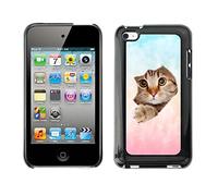 Grand Phone Cases Etui Housse Coque de Protection Cover Rigide pour // Q05670681 Trou papier chat Couleur pastel // Apple ipod Touch 4 4G 4th