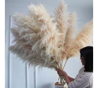 Grand Plume séchée et moelleuse de 110 à 120cm, décoration de mariage Boho en gros, vraie fleur naturelle, décoration de maison, décoration de jardin Natural BrownGray