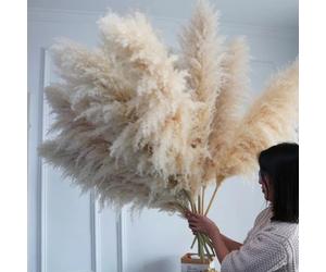 Grand Plume séchée et moelleuse de 110 à 120cm, décoration de mariage Boho en gros, vraie fleur naturelle, décoration de maison, décoration de jardin Natural King