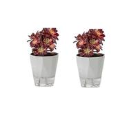Grand pot de fleurs à arrosage automatique en céramique et plastique gris clair pour orchidées et plantes succulentes Pas d'arrosage nécessaire Parfait pour balcon et jardinage intérieur