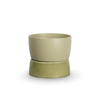 Grand Pot de Fleurs Bicolore de La Collection Ro, Vert Artichaut