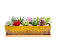 Grand Pot de Fleurs pour Plantes Grasses Peu Profond en céramique avec Drainage, 30,5 cm de Long, Pot rectangulaire pour bonsaï avec Plateau en Bambou pour décoration de Maison, Jardin, Jaune