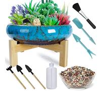 Grand Pot de Plantes succulentes - Pot à bonsaï en céramique avec Support de Drainage pour Plantes à Fleurs de Cactus d'intérieur Plus Outils de Plantation et Galets de mélange de 2,2 LB