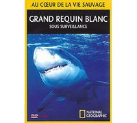 GRAND REQUIN BLANC SOUS SURVEILLANCE - NATIONAL GEOGRAPHIC / BOITIER SLIM