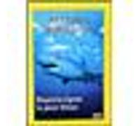 National Geographic : Grand Requin Blanc Sous Surveillance – Studiocanal
