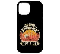 Grand Staircase Escalante Monument National Souvenir Coque pour iPhone 12 Mini