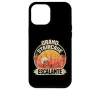 Grand Staircase Escalante Monument National Souvenir Coque pour iPhone 12 Pro Max