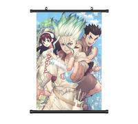 Grand tableau enroulable Dr. Stone Kakemono - 60 x 90 cm - Poster en tissu Anime Manga - Décoration murale cadeau - Motif : Senku & Taiju & Yuzuriha
