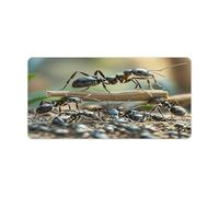 Grand tapis de souris avec imprimé pont de fourmis, sous-main de bureau imperméable pour ordinateur portable, pour l'école, le bureau, la maison, 30,5 x 61 cm