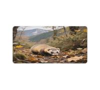 Grand tapis de souris tendance en caoutchouc antidérapant pour clavier d'ordinateur, ordinateur portable, accessoires de bureau à domicile, 60 x 30 cm
