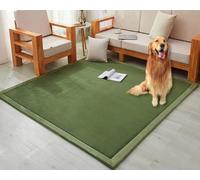 Grand Tapis en Velours Corail De 3 Cm D’épaisseur, Tapis De Jeu De Sol Antidérapant Doux, Tapis Rampant épais pour Salle D’étude Salon Chambre à Coucher, Greenb, 80 * 100 * 3cm