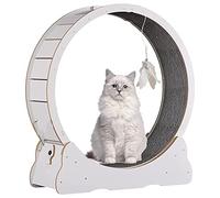 Grand Tapis Roulant pour Chat avec Design, Roue d'exercice pour Chats d'intérieur, Dispositif de Perte de Poids sûr et Silencieux pour Chats (White M)