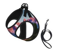 Grand Teton Harnais pour chien avec laisse et gilet rembourré épais pour chiens de taille XS à M